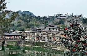 暑期“三下乡”社会实践丨瓷韵·景德镇非遗之旅
